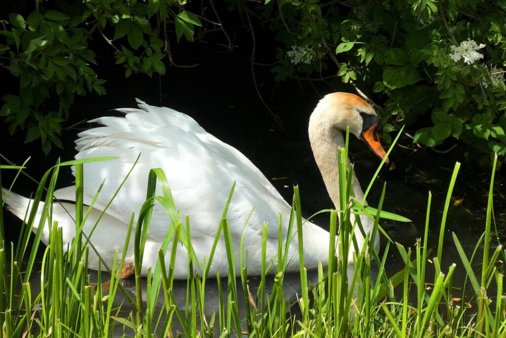 100均で手に入る排水溝掃除グッズのおすすめは？