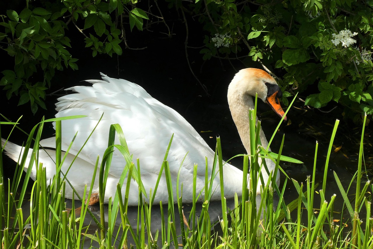 100均で手に入る排水溝掃除グッズのおすすめは？