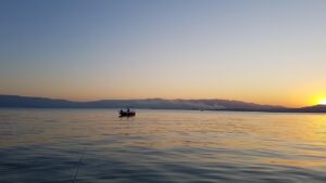 スマホのプランを見直す方法は？