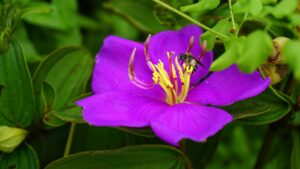 格安SIMを店舗で購入できない場合、どう困る？