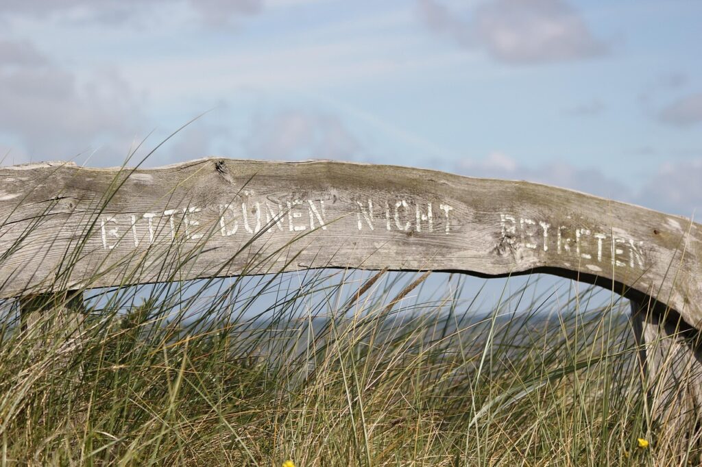 生命保険に入らない人が選ぶ理由とは？