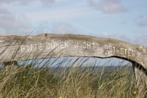 生命保険に入らない人が選ぶ理由とは？