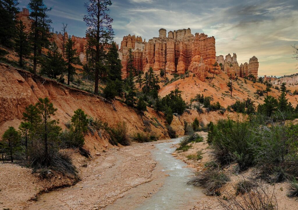 自炊と外食の節約効果はどっちが優れている？