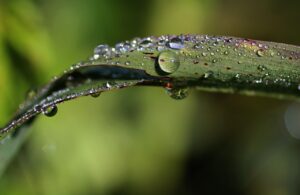 新卒男子が風呂の黒カビを簡単に落とす方法は？